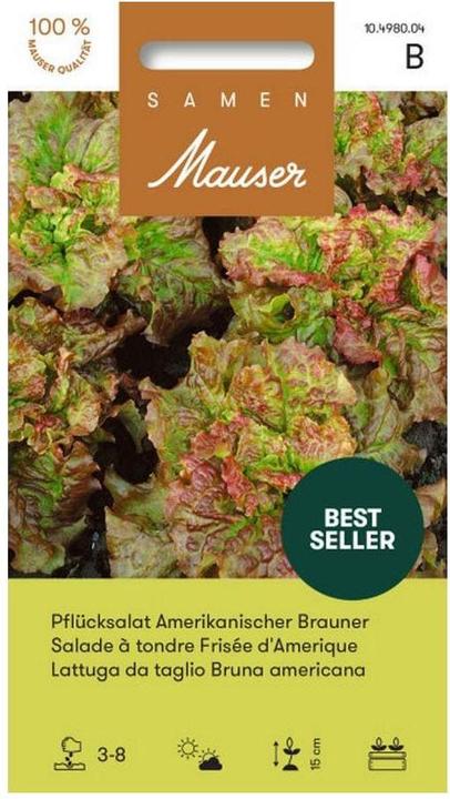 Actual product image Samen Mauser Picking lettuce American brown (Vegetable seeds)