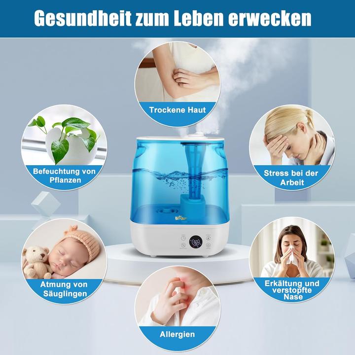 Actual product image Bear Rock 2025 Luftbefeuchter