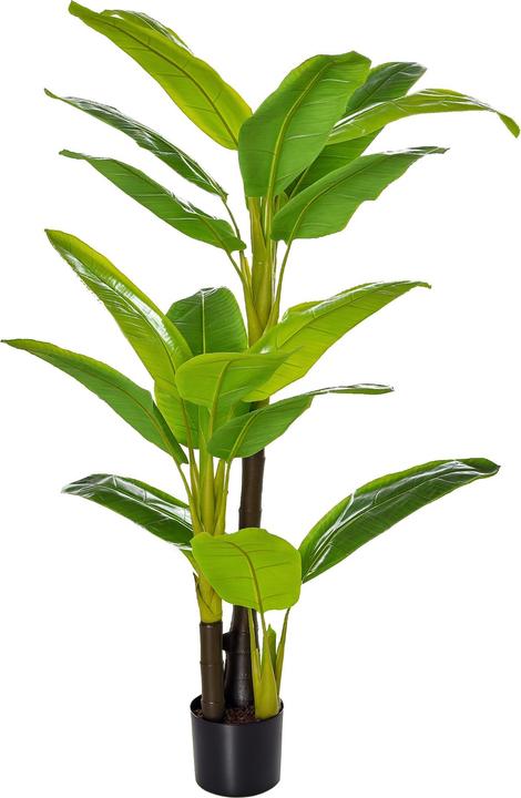 Immagine prodotto Homcom Pianta artificiale (150 cm)