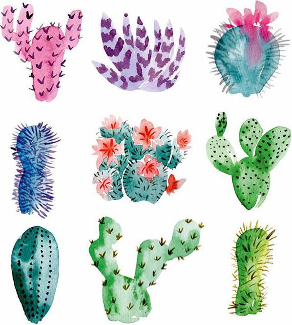 Produktbild Florales Watercolor (Deutsch, Christin Stapff, 2018)