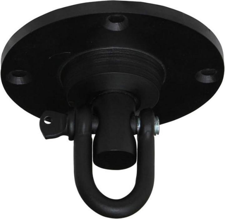 Rdx Iron Swivel Black Regular