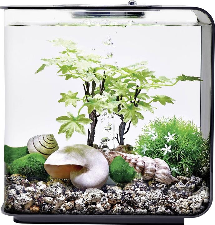 Image du produit Oase 55026 Décoration d'aquarium 15 l (Décoration, autres bâtiments)
