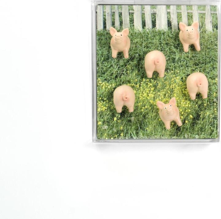 Produktbild Trendform Piggy (6x)