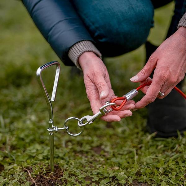 Actual product image Nobby Mooring peg, 40 cm (Dog tent)