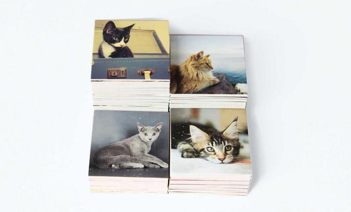 Produktbild Remember Gedächtnisspiel Cats (Englisch, 2 - 8 Spieler)