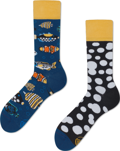 Image du produit Many Mornings Tropical Fish (Une unité par pack, 39 - 42)