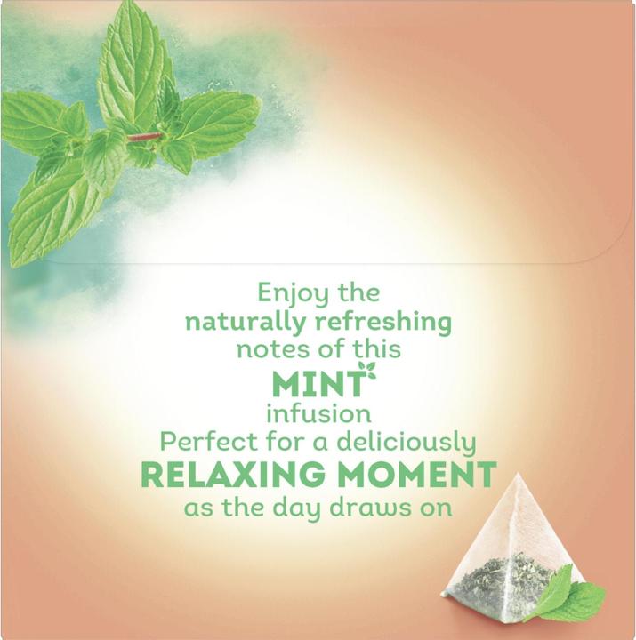 Actual product image Lipton Mint (22 g)