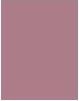 Produktbild Maybelline New York Color Sensational (300 Stripped Rose)
