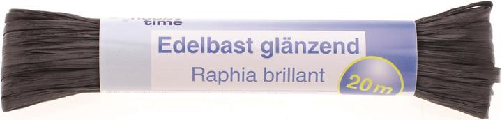 Noir brillant Viscose 10g