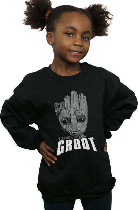 Actual product image Girls Guardians Of The Galaxy Groot Face Sweatshirt (152, 158)