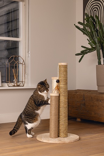 Immagine prodotto Designed by Lotte Albero per gatti Willa (70 cm, Sabbia)