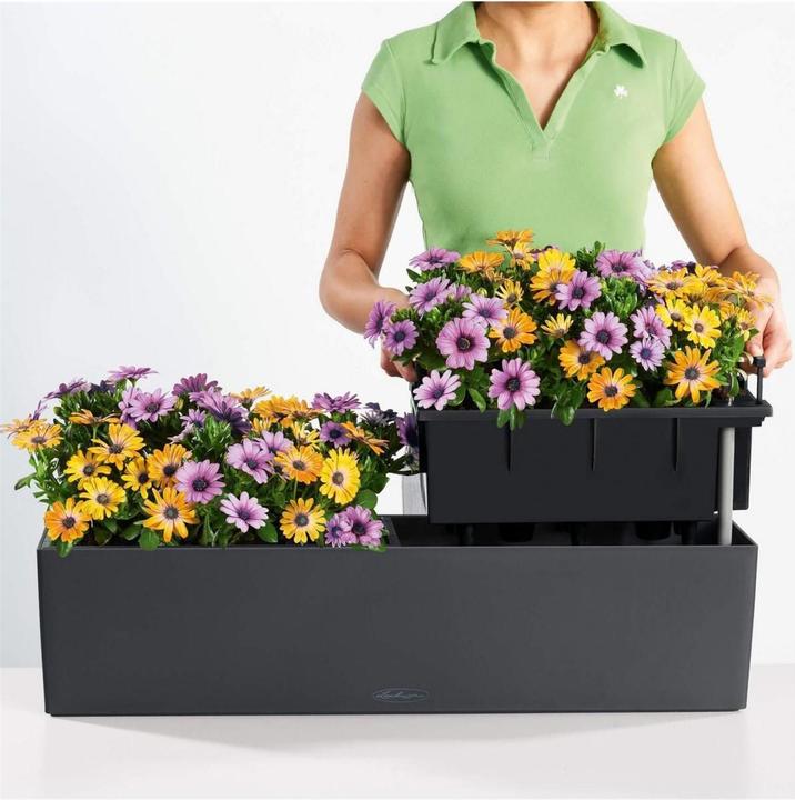 Actual product image Lechuza Balconera Color (19 cm)