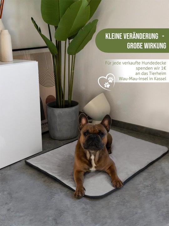 Actual product image Aspero Dog blanket Lund (Dog)