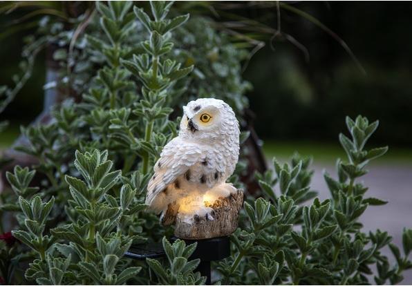 Image du produit Star Trading Owl (IP44)