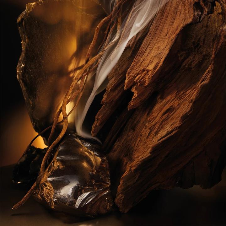 Image du produit Hugo Boss Élixir Bottled (Eau de parfum, 50 ml)