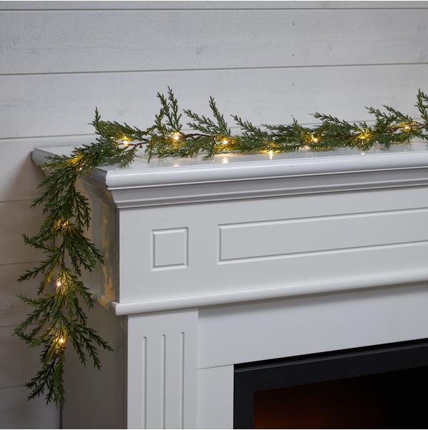 Actual product image Star Trading Thuja
