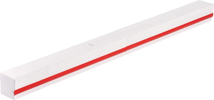 Sport-Thieme Hockeybande Halle