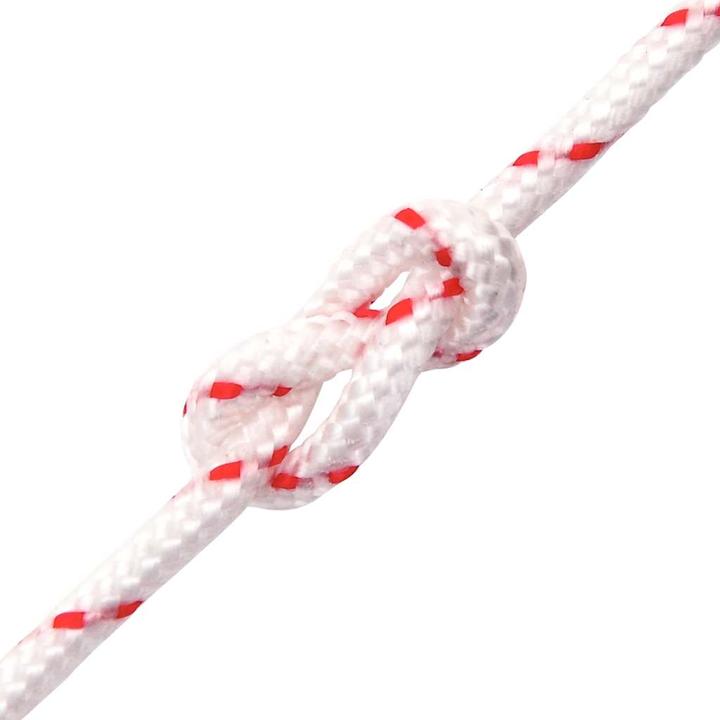 Actual product image VidaXL Starter rope and Ø4 mm 10 m nylon (10 m)