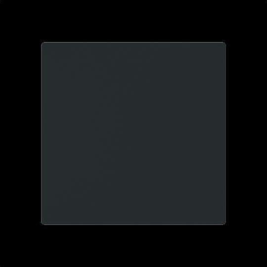 Immagine prodotto Busch-Jaeger 1786-45M