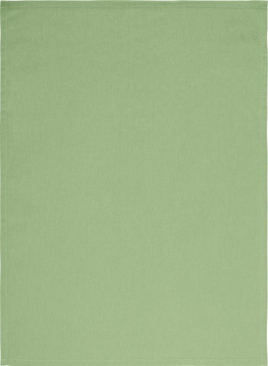Image du produit Redbest Tulsa (70 x 50 cm)