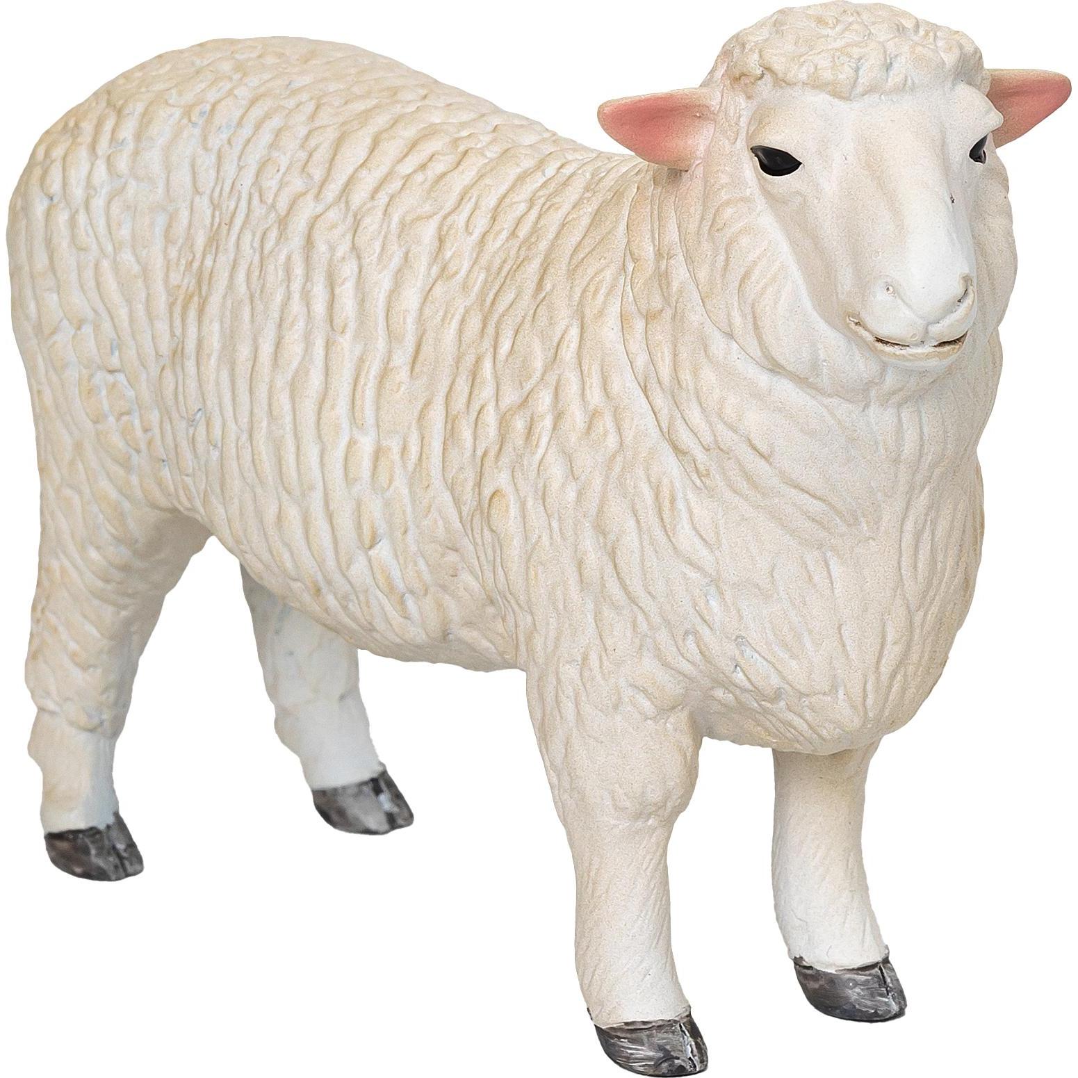 Mojo Romney-Widder (MJ-381063)