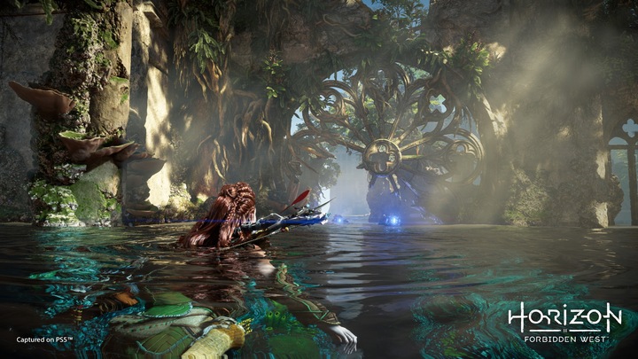 Produktbild Sony Horizon Forbidden West (PS4, EN)