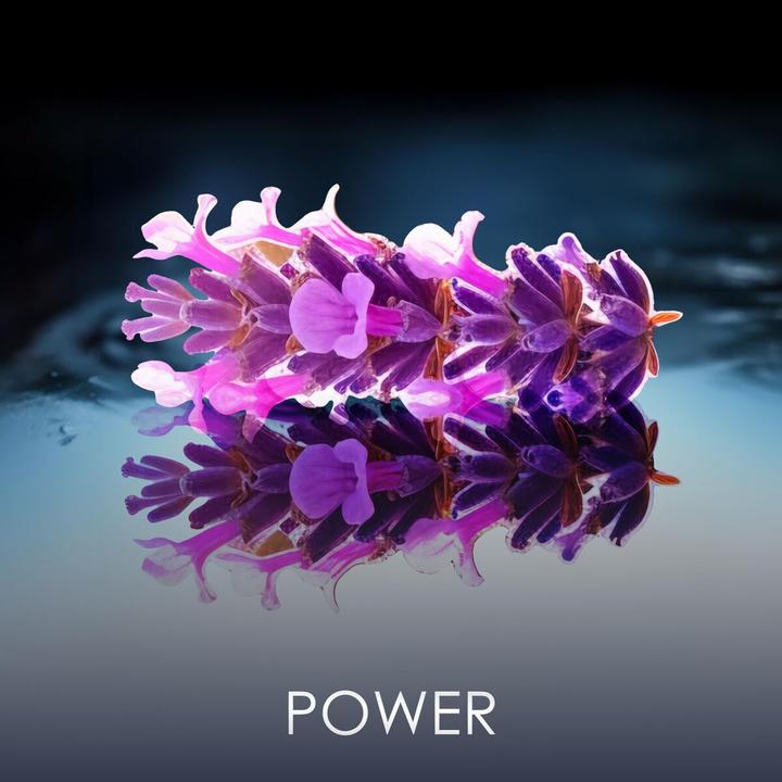 Immagine prodotto Philipp Plein No Limit$ (Eau de parfum, 90 ml)