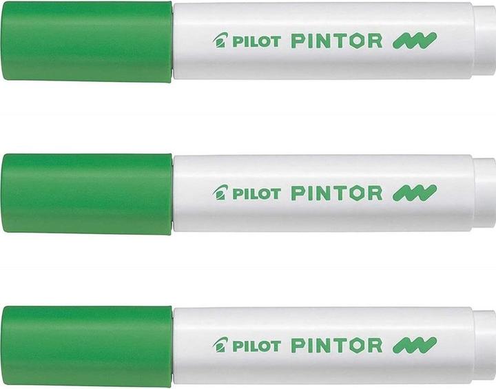 Actual product image Pilot Pintor Medium