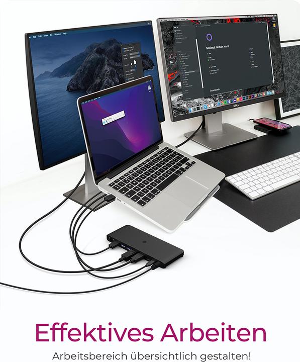 Actual product image Icy Box IB-DK2416-C (USB-C, 9 ports)