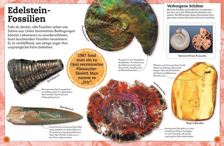 Produktbild Fossilien (Deutsch, Christine Condé, Dean Lomax, DK Verlag - Kids, 2022)