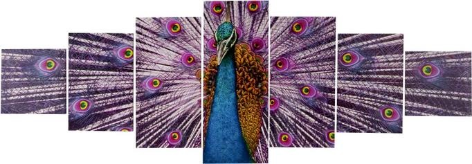 Produktbild Swisshandel24 Leinwandbild, Wandbild Keilrahmenbild Kunstdruck, 7-teilig 140x50cm - Pfau (140 x 50 cm)