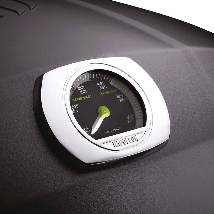 Produktbild Napoleon TravelQ (2.20 kW)