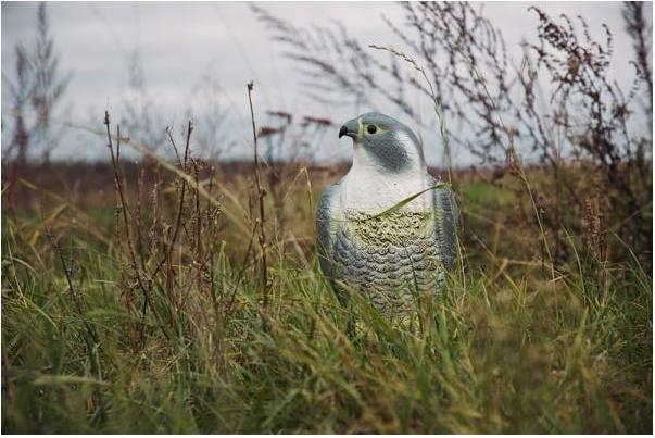 Actual product image Bradas Bird repellent
