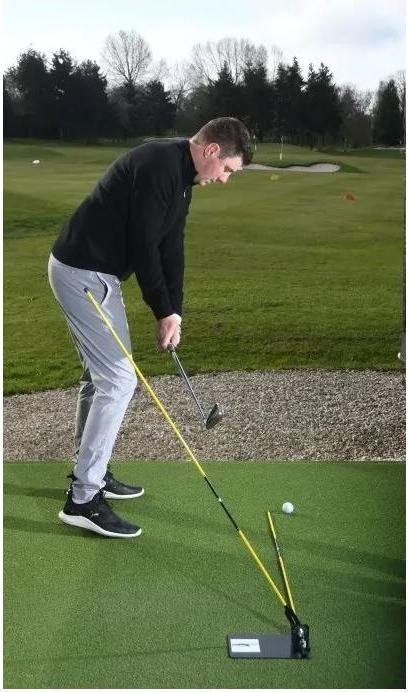 Actual product image Swing Plate Swing training