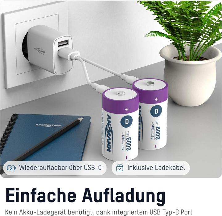 Image du produit Ansmann LR20 Pile USB-C Mono (D) Li-Ion 6000 mAh 1.5 V 2 pcs. (2 pcs, D, 6000 mAh)