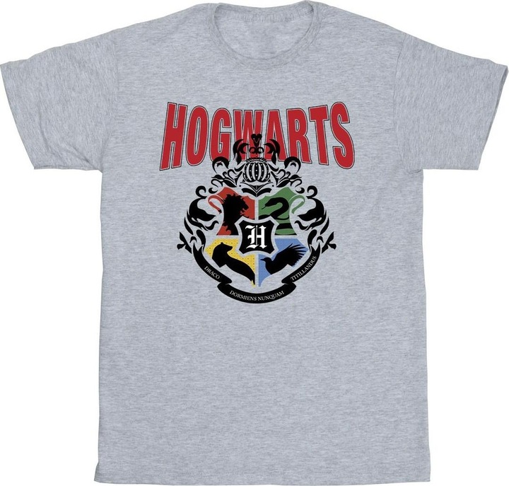 Actual product image Mens Hogwarts Emblem T-Shirt (4XL)