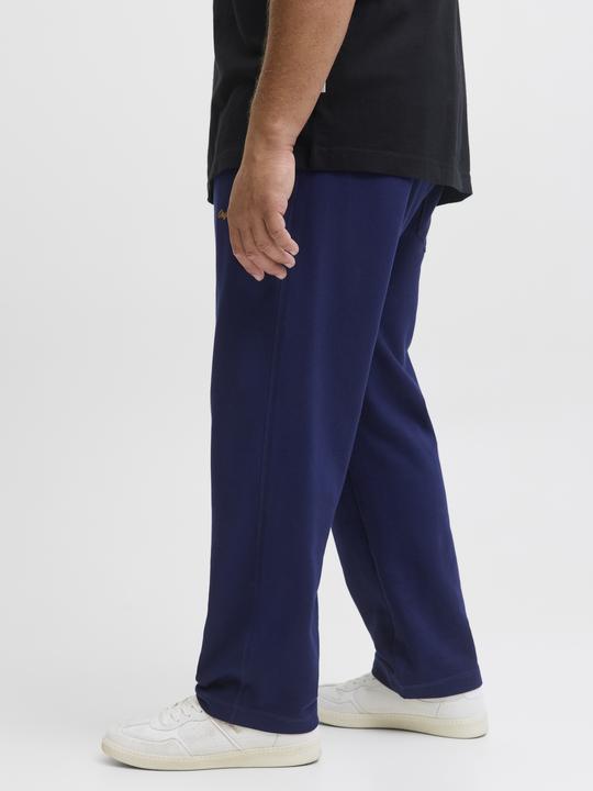 Actual product image Jack & Jones Plus Size Relaxed Fit Relaxed Fit Hosen Relaxed Fit Hosen (40)