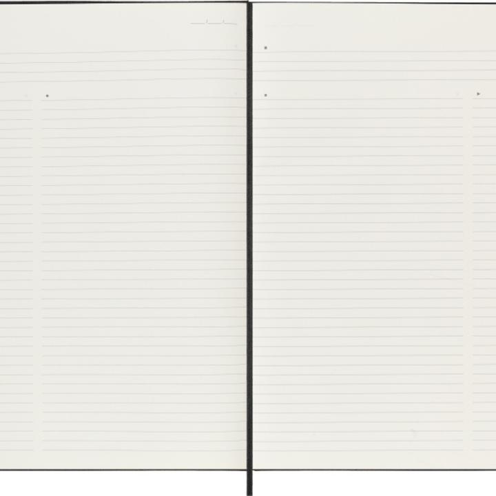 Actual product image Moleskine Pro (A4, Lined)