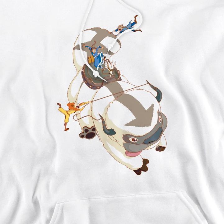 Produktbild Avatar: The Last Airbender Hang On Kapuzenpullover (S)