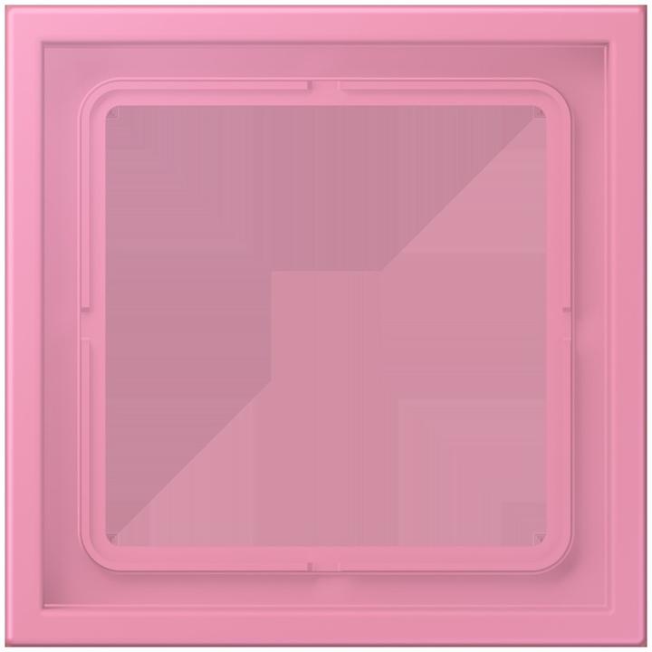 Rose Vif