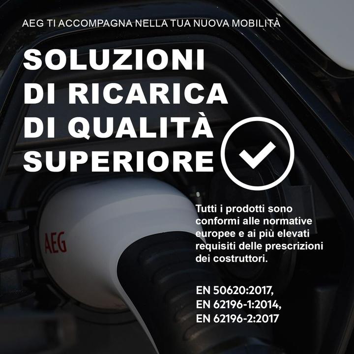 Actual product image AEG Batterieladegerät 201869