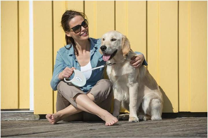 Actual product image Flexi Style (M, Dog, Walks)