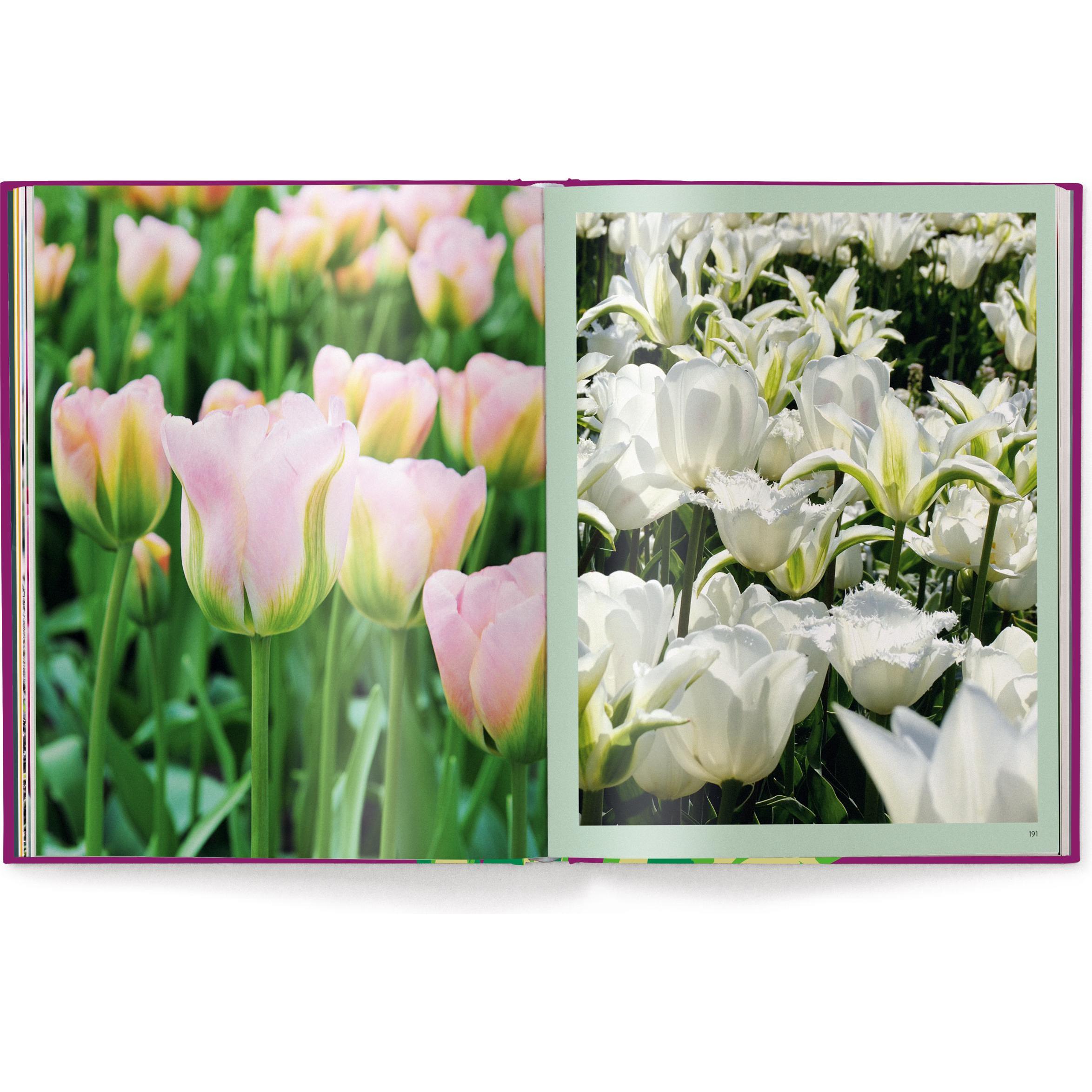 Thumbnail - Floramour: Tulpen, Sachbücher von Karin Greiner, Simone Braun