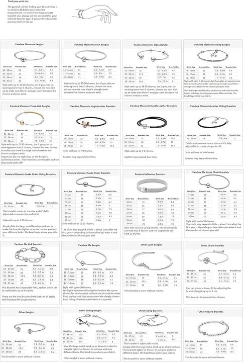 Actual product image Pandora Bracelet (19 cm, Silver)