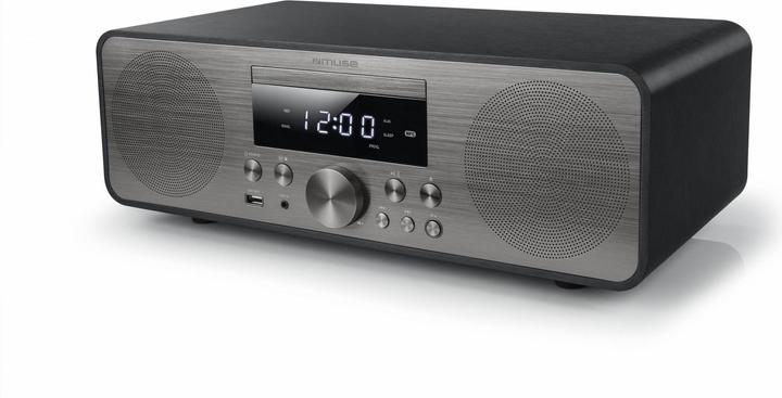 Actual product image Muse M-880 BTC Black (FM, PLL, Bluetooth)