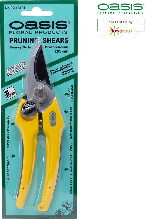 Actual product image Oasis Professional florist scissors