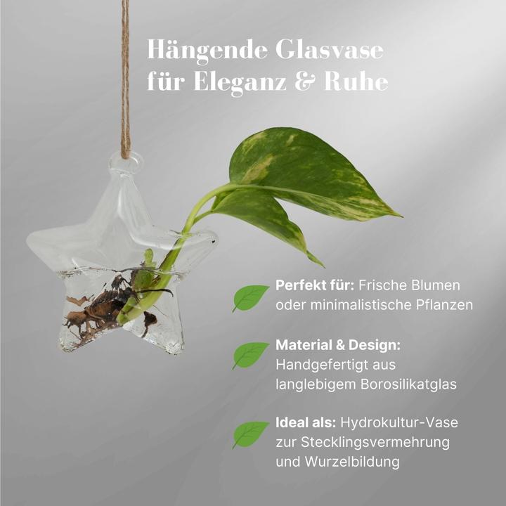 Produktbild Hermex Hängende Glasvase Sternform Blumenvase Vase Dekoration (1 x, 10 x 4 x 10.5 cm)