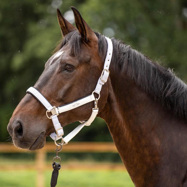 Immagine prodotto HV Polo Skye