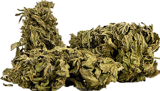 Image du produit Herba di Berna Muffin aux myrtilles à l'extérieur 45g (45 g, Extérieur)
