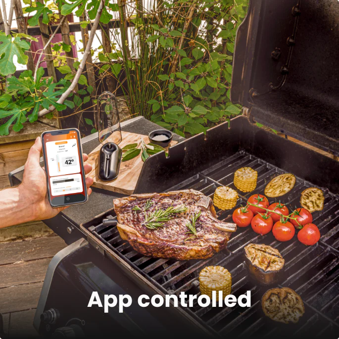 Image du produit Mastrad Meat it plus 2.0 Thermomètre à barbecue Bluetooth
